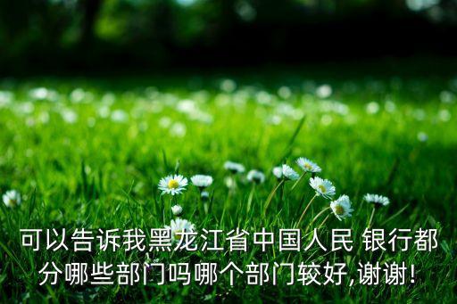 可以告訴我黑龍江省中國(guó)人民 銀行都分哪些部門嗎哪個(gè)部門較好,謝謝!