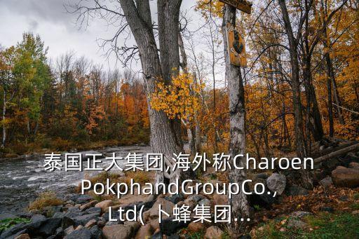 泰國(guó)正大集團(tuán),海外稱(chēng)CharoenPokphandGroupCo.,Ltd( 卜蜂集團(tuán)...