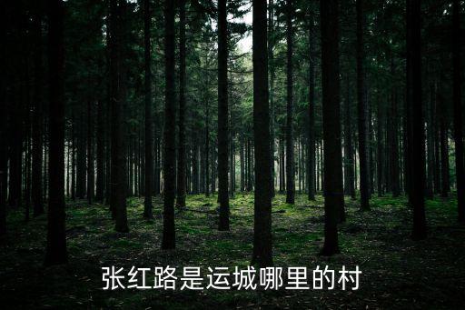 中國人壽總經理是誰,山東省中國人壽總經理