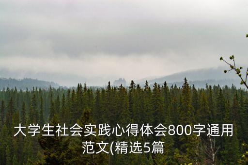 大學(xué)生社會(huì)實(shí)踐心得體會(huì)800字通用范文(精選5篇