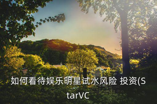 如何看待娛樂(lè)明星試水風(fēng)險(xiǎn) 投資(StarVC