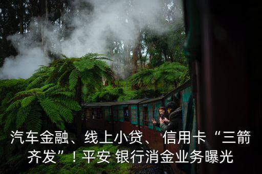 汽車金融、線上小貸、 信用卡“三箭齊發(fā)”! 平安 銀行消金業(yè)務(wù)曝光