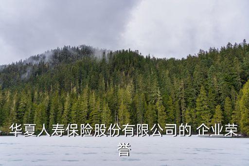 華夏人壽保險股份有限公司的 企業(yè)榮譽