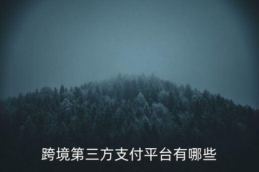 跨境第三方支付平臺(tái)有哪些