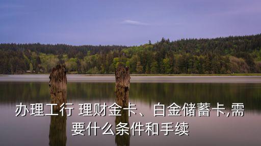 辦理工行 理財金卡、白金儲蓄卡,需要什么條件和手續(xù)