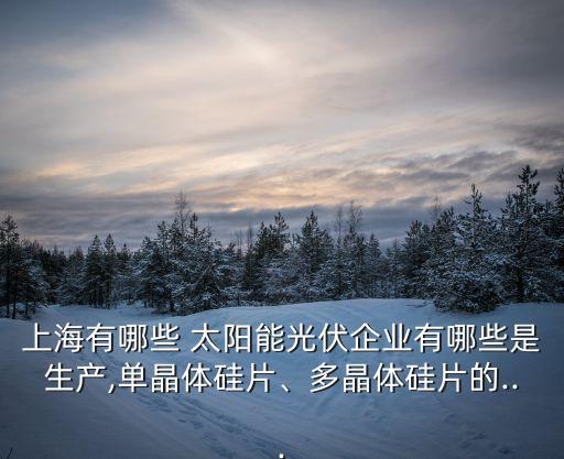 上海有哪些 太陽能光伏企業(yè)有哪些是生產(chǎn),單晶體硅片、多晶體硅片的...