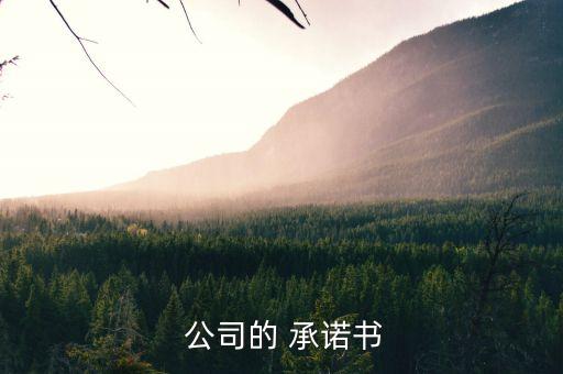  公司的 承諾書