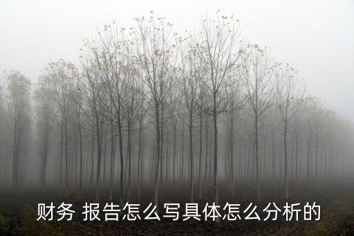 蘇寧云商集團(tuán)股份有限公司財務(wù)會計報告分析