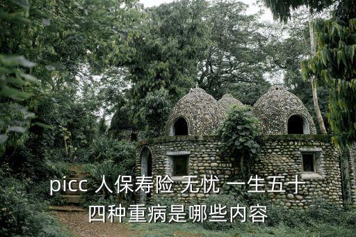 picc 人保壽險(xiǎn) 無憂 一生五十四種重病是哪些內(nèi)容