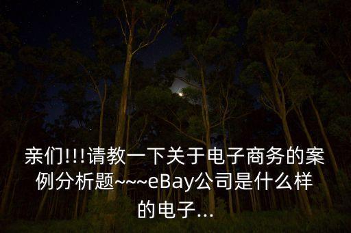 親們!!!請(qǐng)教一下關(guān)于電子商務(wù)的案例分析題~~~eBay公司是什么樣的電子...