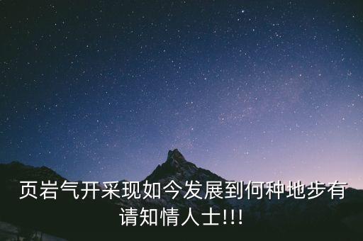  頁巖氣開采現(xiàn)如今發(fā)展到何種地步有請(qǐng)知情人士!!!