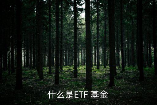 什么是ETF 基金