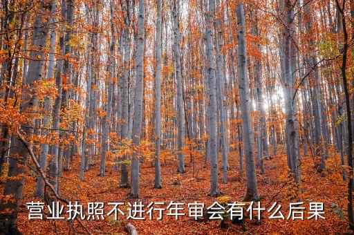 營(yíng)業(yè)執(zhí)照不進(jìn)行年審會(huì)有什么后果