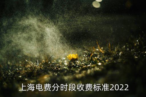  上海電費(fèi)分時(shí)段收費(fèi)標(biāo)準(zhǔn)2022