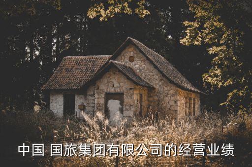 中國國旅利潤分析表