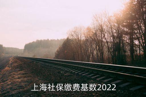  上海社保繳費基數(shù)2022