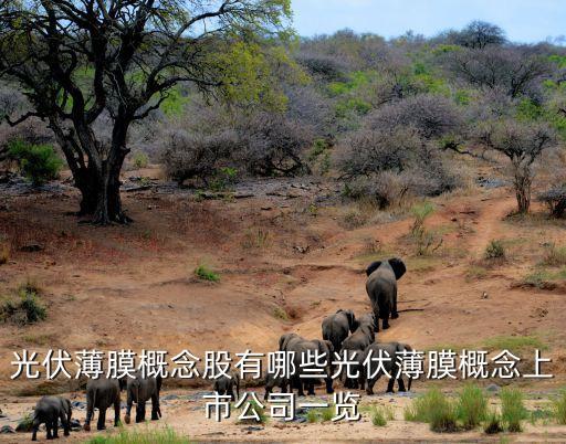 光伏薄膜概念股有哪些光伏薄膜概念上市公司一覽