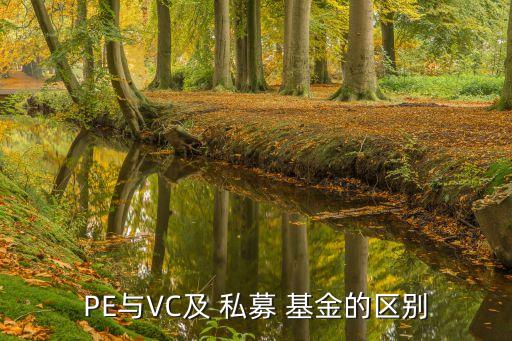 PE與VC及 私募 基金的區(qū)別