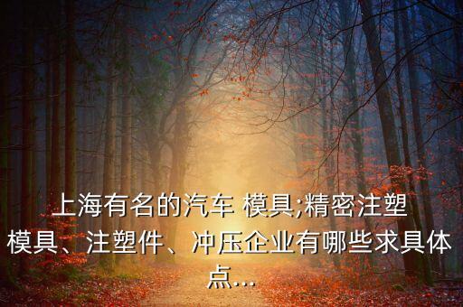  上海有名的汽車 模具;精密注塑 模具、注塑件、沖壓企業(yè)有哪些求具體點...