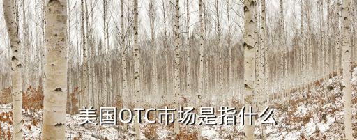 美國OTC市場是指什么