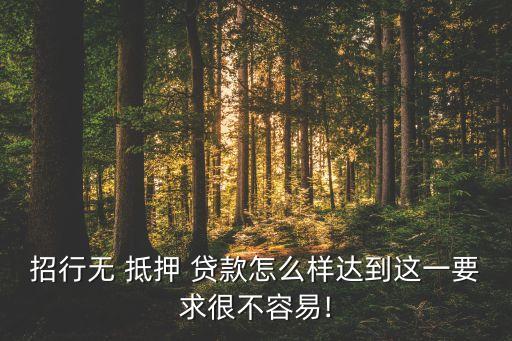 招行無(wú) 抵押 貸款怎么樣達(dá)到這一要求很不容易!