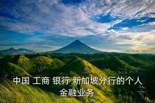 中國(guó) 工商 銀行 新加坡分行的個(gè)人金融業(yè)務(wù)