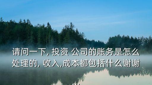 請問一下, 投資 公司的賬務是怎么處理的, 收入,成本都包括什么謝謝...