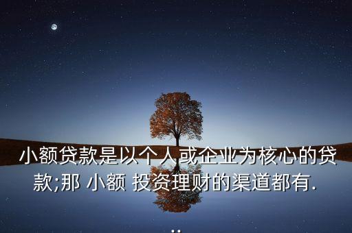  小額貸款是以個(gè)人或企業(yè)為核心的貸款;那 小額 投資理財(cái)?shù)那蓝加?..