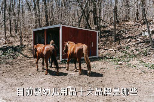 目前嬰幼兒用品十大品牌是哪些