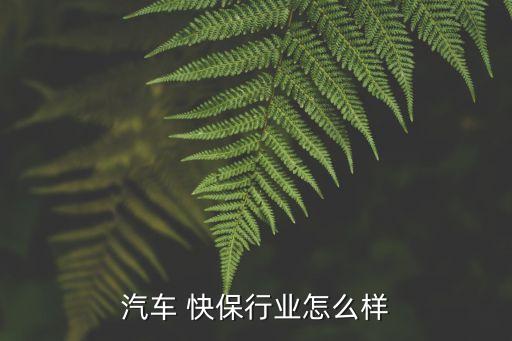 汽車 快保行業(yè)怎么樣