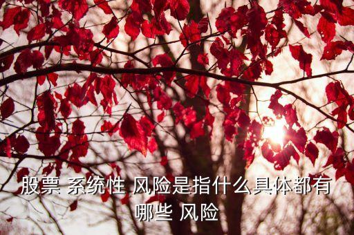 股票 系統(tǒng)性 風(fēng)險(xiǎn)是指什么具體都有哪些 風(fēng)險(xiǎn)