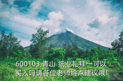 600103 青山 紙業(yè)禮拜一可以買入嗎請各位老師給點建議哦!