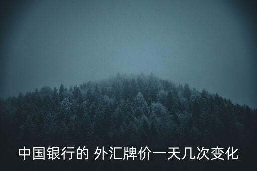 中國(guó)即期外匯日交易量