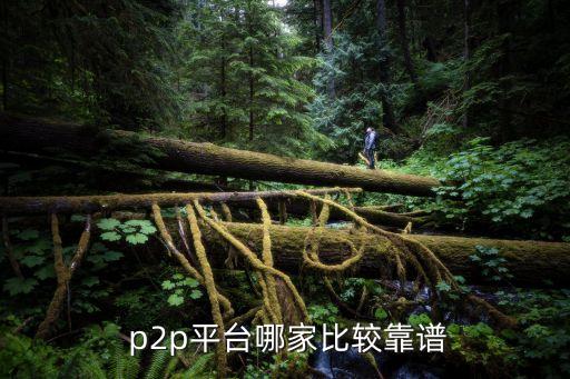  p2p平臺哪家比較靠譜