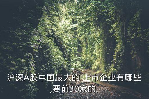 滬深A(yù)股中國最大的 上市企業(yè)有哪些,要前30家的,