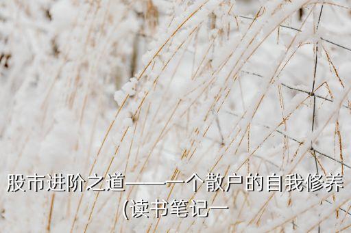 股市進(jìn)階之道——一個(gè)散戶的自我修養(yǎng)(讀書筆記一