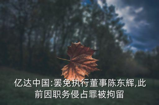  億達(dá)中國:罷免執(zhí)行董事陳東輝,此前因職務(wù)侵占罪被拘留