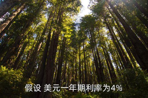 假設(shè) 美元一年期利率為4%