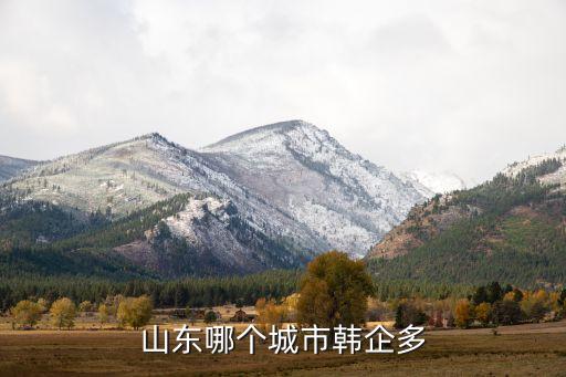 青島韓國(guó)銀行