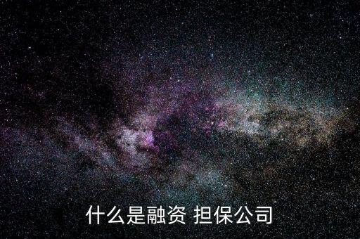 什么是融資 擔(dān)保公司