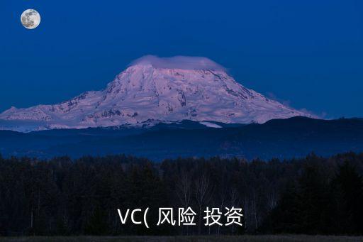 VC( 風險 投資