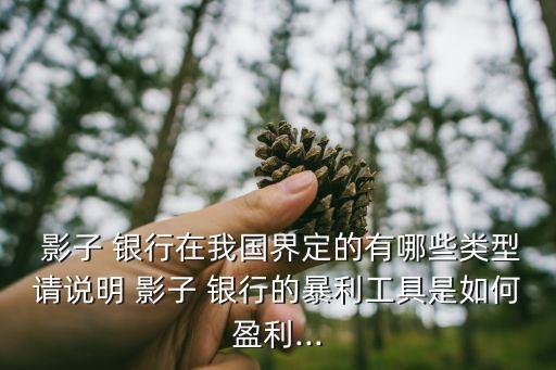  影子 銀行在我國(guó)界定的有哪些類型請(qǐng)說明 影子 銀行的暴利工具是如何盈利...