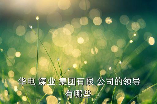  華電 煤業(yè) 集團(tuán)有限 公司的領(lǐng)導(dǎo)有哪些