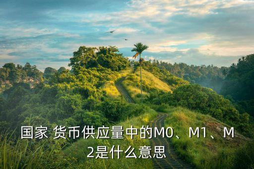 國(guó)家 貨幣供應(yīng)量中的M0、M1、M2是什么意思