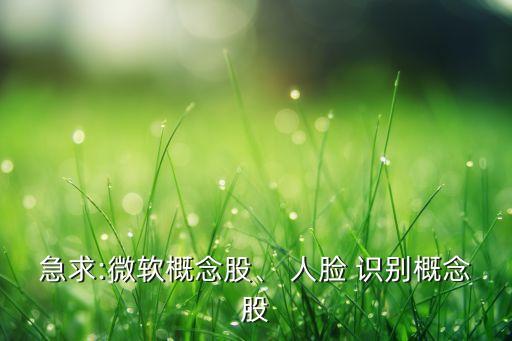 急求:微軟概念股、 人臉 識別概念股