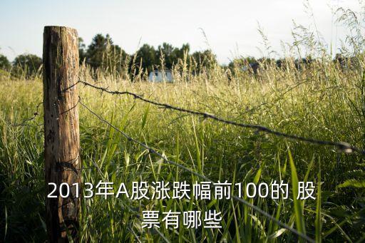 2013年A股漲跌幅前100的 股票有哪些