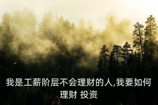 我是工薪階層不會(huì)理財(cái)?shù)娜?我要如何理財(cái) 投資