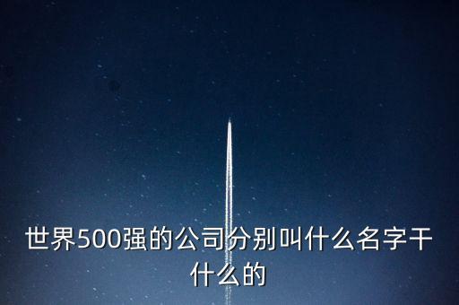 世界500強(qiáng)的公司分別叫什么名字干什么的