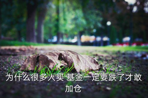 為什么很多人買(mǎi) 基金一定要跌了才敢加倉(cāng)