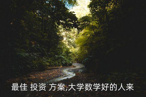 最佳 投資 方案,大學(xué)數(shù)學(xué)好的人來